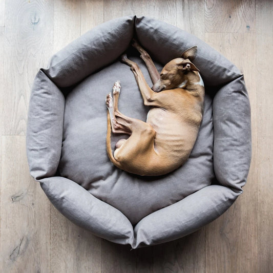 High-Walled Donut Dog Bed