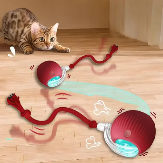 TurboTail™ Dog &amp; Cat Motion Ball